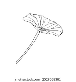 Single lotus leaf hand drawn vector realistic graphic sketch illustration. Black and white drawing of water lily leaf. Monochrome plant for create floral decor, coloring book..