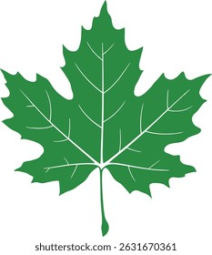 Single Maple Leaf Autumn Symbol