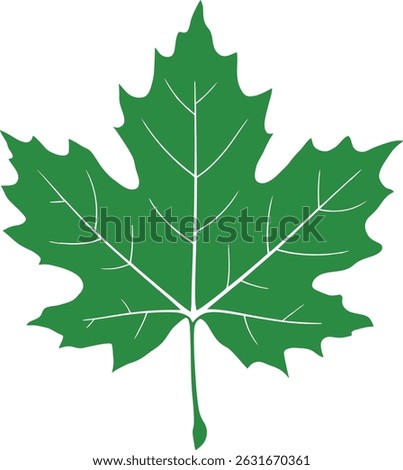 Single Maple Leaf Autumn Symbol
