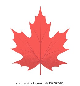 Single maple leaf with a grainy textured surface and fine vein detailing, ideal for autumn and Canadian themed designs