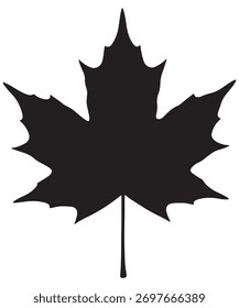 Una sola hoja de arce se destaca audazmente en esta silueta