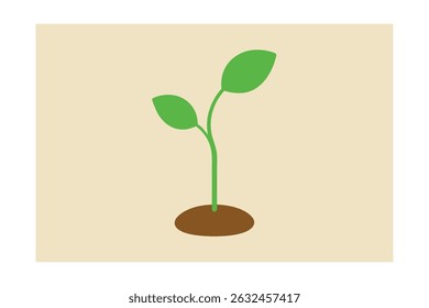 Single Micro Arugula Sprout tee