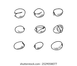 Single monochrome peeled and unpeeled nuts set vector hand painted illustration. Black and white drawing of Sacred Lotus or Water Lily Seeds. For kitchen inspired designs, cooking blogs.