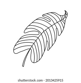 Single monoline vector drawing exotic tropical leaf monstera plant. Printable decorative houseplant concept for home wall decor poster ornament. Modern draw design graphic illustration.