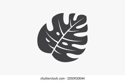single monstera leaf icon isolated on white background.
