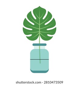 A single monstera leaf in a light blue glass vase with water, minimalist botanical plant illustration