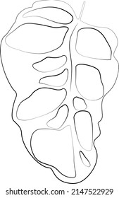 Single monstera leaf vector element black line.