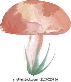 Single mushroom with green grass on white background. Hand drawn watercolor mushroom.