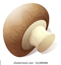 Single mushroom on white illustration