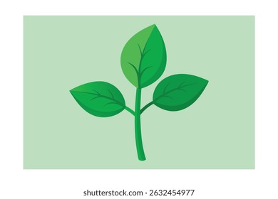 Single New Zealand Spinach Plant