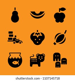 single, noone, golden and half icon set. Vector illustration for web and design.