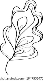 single oak leaves, contour monochrome, black and white