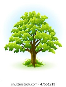 single oak tree with green leafage - vector illustration, isolated on white background