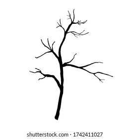 Single object, old tree outline black. Hand drawn illustration. Vector line art. Doodle style. Isolated black on white background.