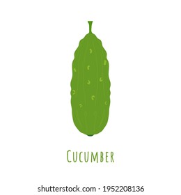Un solo pepino verde aislado en blanco