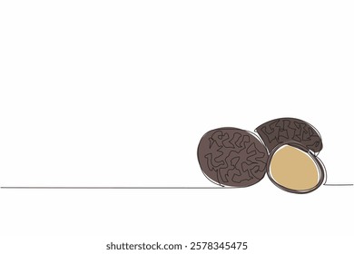 Single one line drawing 2 truffles and 1 split into 2. Food ingredients are picked directly from nature. Expensive mushrooms. Rare. National Truffle Day. Continuous line design graphic illustration