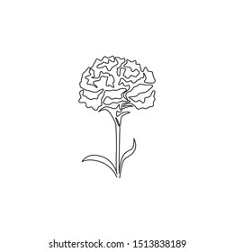 1,635 Carnation line drawing Stock Illustrations, Images & Vectors ...