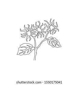 Single one line drawing beauty fresh witch hazels for garden logo. Decorative of winterbloom flower concept for home wall decor art poster print. Modern continuous line draw design vector illustration