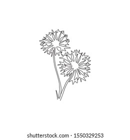 Single one line drawing of beauty fresh centaurea cyanusfor garden logo. Decorative cornflower concept for home decor wall art poster print. Modern continuous line draw design vector illustration