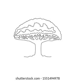 Single one line drawing of beauty and exotic socotra dragon tree. Decorative umbrella shape tree for greeting post card. Tourism and travel. Modern continuous line draw design vector illustration