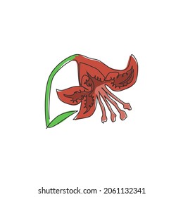 Dibujo de una sola línea de belleza litio fresco para el logo del jardín. Flor de lirio tigre decorativa para la decoración de la casa de arte en la pared estampado de afiches. Ilustración de diseño de traza continua moderna