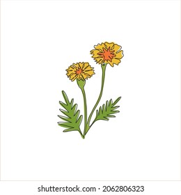 Single one line drawing of beauty fresh tagetes erecta for garden logo. Decorative marigold flower concept for home decor wall art poster print. Modern continuous line draw design vector illustration