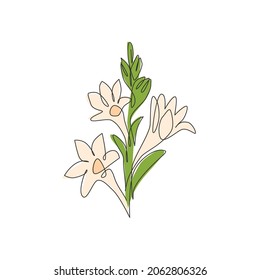 Single one line drawing of beauty fresh agave amica for garden logo. Decorative tuberose flower concept for home art wall decor poster print. Modern continuous line draw design vector illustration