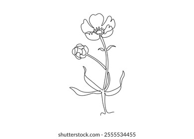 Single one line drawing beauty fresh buttercup for wall decor home poster print art. Printable decorative ranunculus flower for greeting card. Continuous line draw design graphic vector illustration