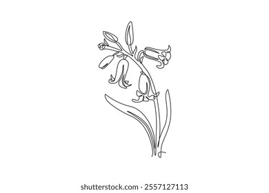 Single one line drawing beauty fresh bulbous perennial plant for home decor wall art poster print. Printable decorative bluebell flower concept. Continuous line draw design graphic vector illustration