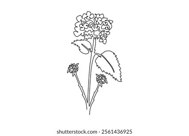 Single one line drawing beauty fresh lantana for home decor wall art poster print. Decorative shrub verbena flower for greeting card ornament. Continuous line draw design graphic vector illustration