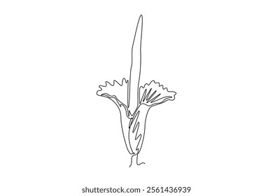 Single one line drawing beauty fresh amorphophallus titanum for home wallpaper decor art poster. Decorative titan arum flower for national park. Continuous line draw design graphic vector illustration