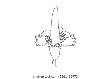 Single one line drawing of beauty fresh amorphophallus titanum for home wall decor poster print. Decorative titan arum flower for national park. Continuous line draw design graphic vector illustration