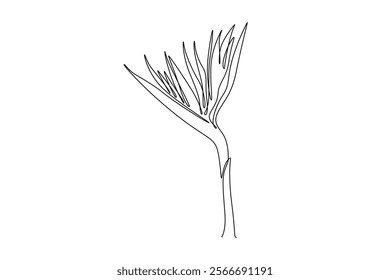 Single one line drawing beauty fresh strelitzia for home art wall decor poster print. Decorative bird of paradise flower concept for green park. Continuous line draw design graphic vector illustration