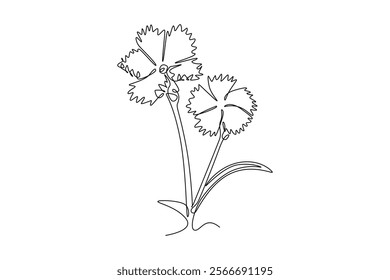 Single one line drawing of beauty fresh dianthus for home wall decor art poster print. Decorative carnation flower concept for green park icon. Continuous line draw design graphic vector illustration