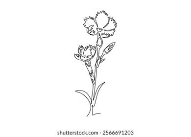 Single one line drawing beauty fresh dianthus for home art wall decor poster. Printable decorative sweet william flower concept for garden icon. Continuous line draw design graphic vector illustration