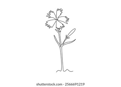 Single one line drawing beauty fresh dianthus for home wall art decor poster print. Decorative sweet william flower concept for invitation card. Continuous line draw design graphic vector illustration