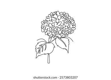 Single one line drawing of beauty fresh hydrangea for home art wall decor poster print. Decorative hortensia flower concept for invitation card. Continuous line draw design graphic vector illustration