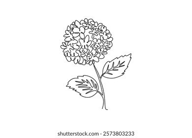 Single one line drawing beauty fresh hortensia for home wall decor art poster print. Decorative hydrangea flower concept for floral card frame. Continuous line draw design graphic vector illustration