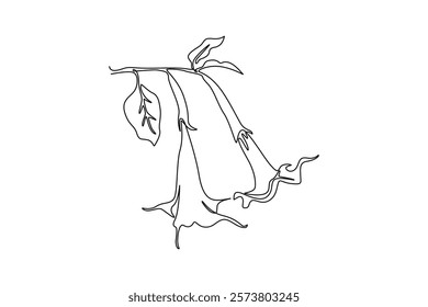 Single one line drawing beauty fresh brugmansia for wall decor home art poster. Decorative angel trumpet flower for greeting card frame. Modern continuous line draw design graphic vector illustration