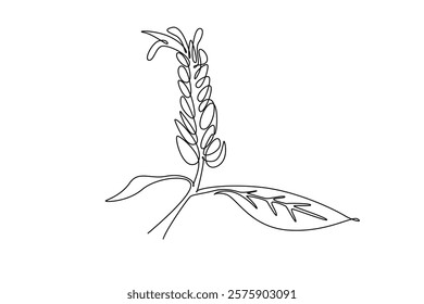 Single one line drawing beauty fresh golden shrimp plant for wall decor home art poster print. Decorative lollipop plant flower greeting card. Continuous line draw design graphic vector illustration