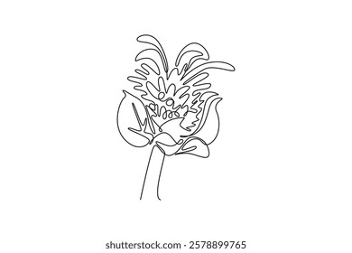 Single one line drawing beauty fresh bergamot monarda for home decor wall art poster print. Decorative bee balm flower for greeting card. Modern continuous line draw design graphic vector illustration