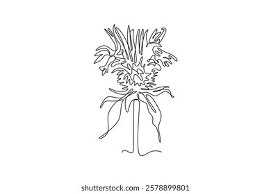 Single one line drawing beauty fresh monarda for garden logo. Decorative horsemint oswago tea flower concept for floral invitation card. Modern continuous line draw design graphic vector illustration