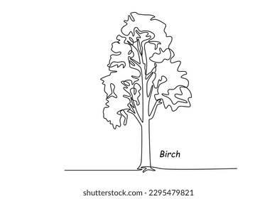 Single one line drawing birch. Tree concept. Continuous line draw design graphic vector illustration.