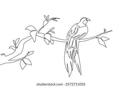 Single one line drawing the bird of paradise perched on a tree branch with leaves. The bird originates from Papua, Indonesia. International Dawn Chorus Day. Continuous line design graphic illustration