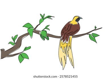 Single one line drawing the bird of paradise perched on a tree branch with leaves. The bird originates from Papua, Indonesia. International Dawn Chorus Day. Continuous line design graphic illustration