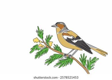 Single one line drawing chaffinch bird perched on a tree branch with leaves and flowers. Birds symbol of happiness. Songbird. International Dawn Chorus Day. Continuous line design graphic illustration