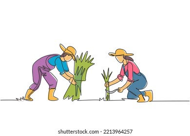 Single one line drawing of couple farmer was harvesting rice and there was also rice that had been tied up. Farming challenge minimal concept. Continuous line draw design graphic vector illustration.