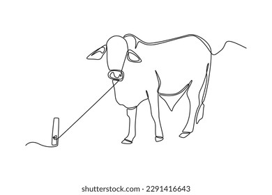 Una sola línea dibujando vacas para sacrificios de sacrificio. Feliz concepto de Eid Al Adha. Ilustración gráfica de vector de diseño de línea continua.