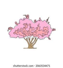 Single one line drawing of exotic Japanese sakura tree for home art wall decor poster print. Cherry blossom plant concept for national park logo. Modern continuous line draw design vector illustration