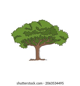 Single one line drawing exotic   beauty marula tree  Decorative sclerocarya birrea for greeting post card  World tourism   travel concept  Modern continuous line draw design vector illustration